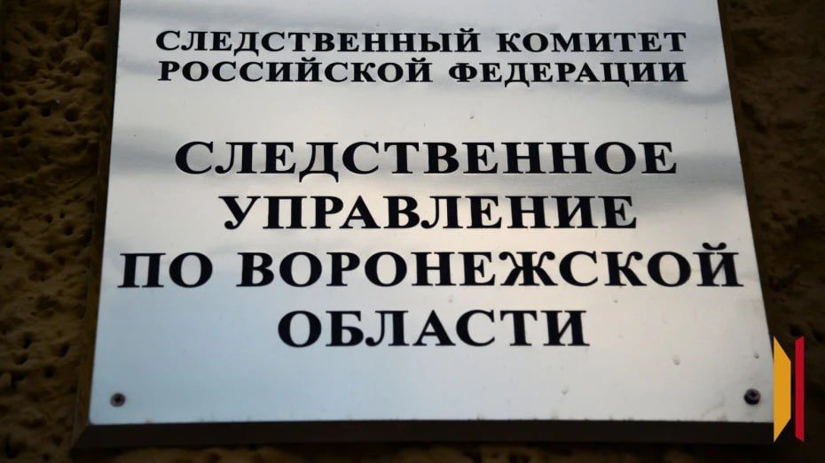 Избиения детей в семье в микрорайоне Боровое привели к уголовному делу