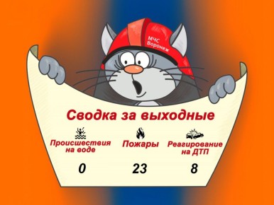 Оперативная сводка за прошедшие выходные