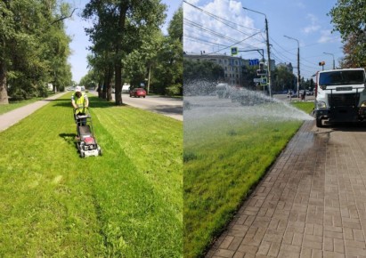 Как в жару в Воронеже спасают газоны