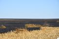 Режим ЧС ввели в Кантемировском районе из-за пожаров