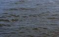 С начала года в водоемах Воронежской области утонули 53 человека, двое из них - несовершеннолетние