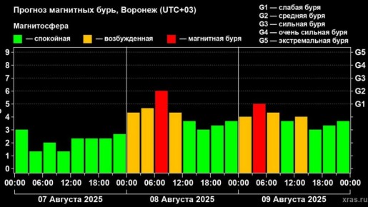 Воронежцев предупредили о сильной магнитной буре 8 августа