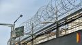 В Семилукском районе освободившийся заключенный попытался перебросить бывшим сокамерникам телефоны через забор