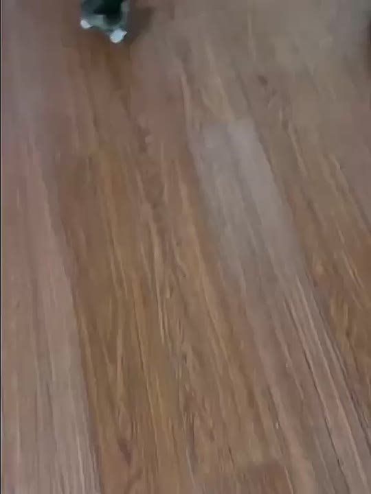  ,     ,     