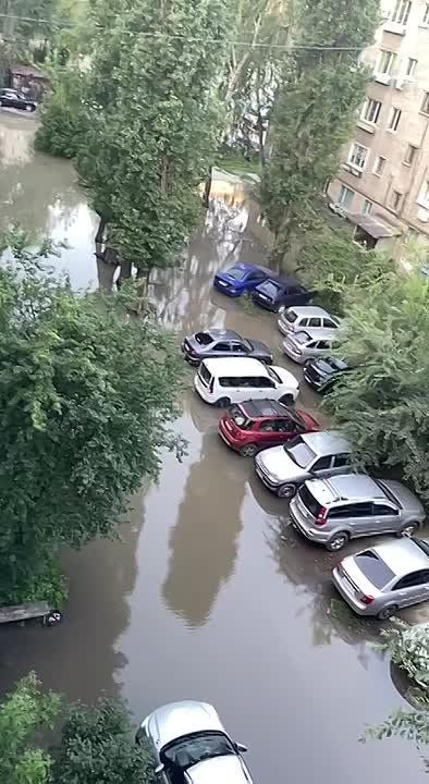           - 