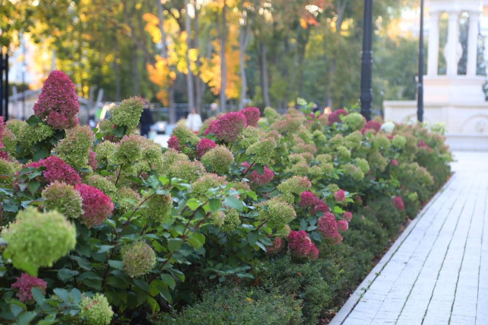 Осенний "Орлёнок" готов видеть вас в будни и с радостью встречать в выходные