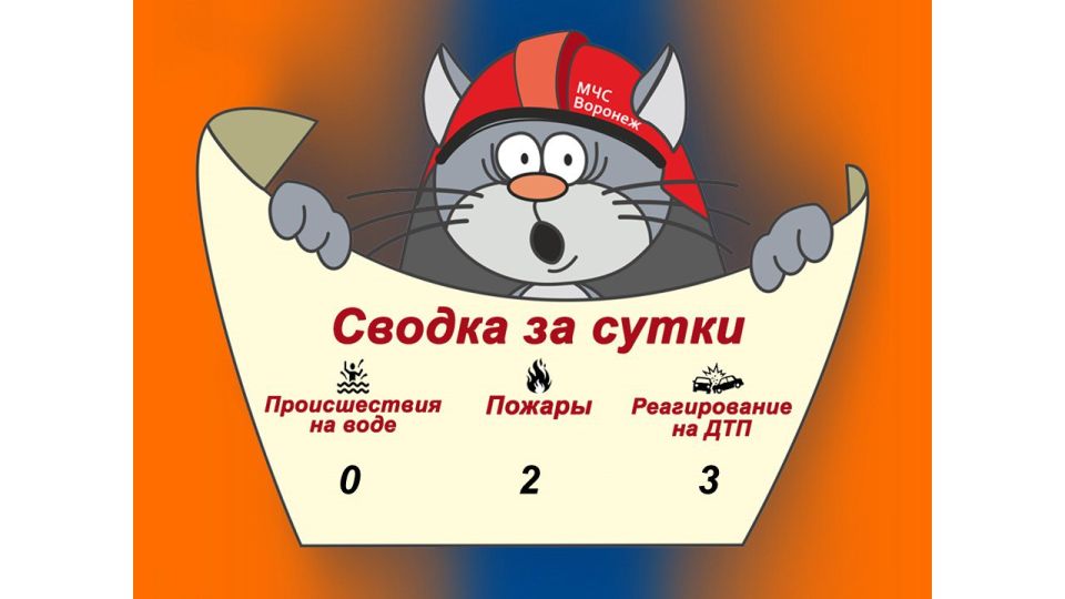 Оперативная сводка за сутки