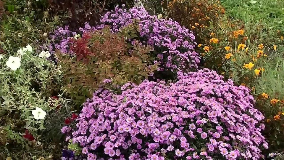 В Воронежской области соревнуются муниципальные образования