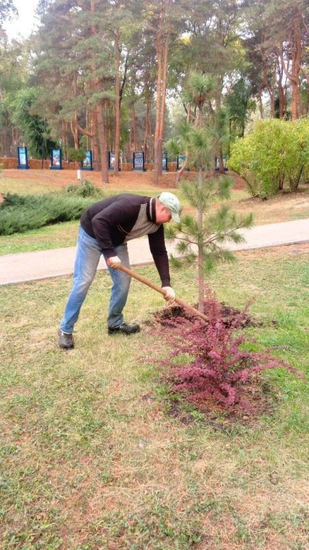 Продолжаем рассказывать об уходных работах в парках и скверах Воронежа