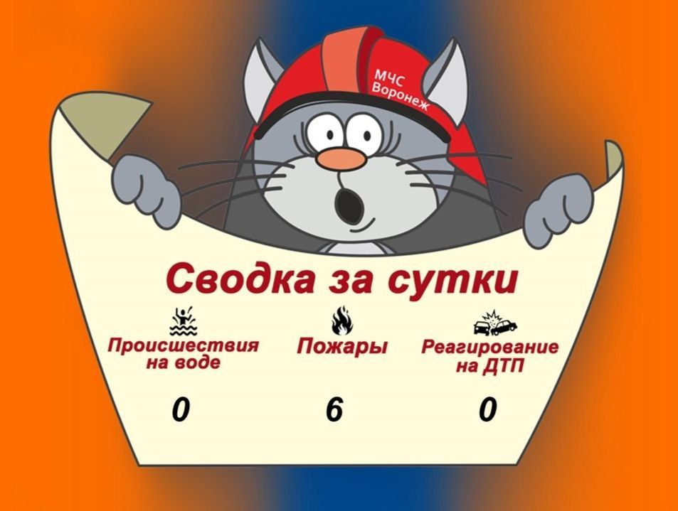 Оперативная сводка за сутки