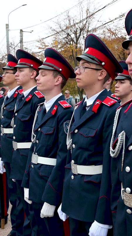 Воронеж присоединился к Всероссийской акции памяти «Дни белых журавлей»