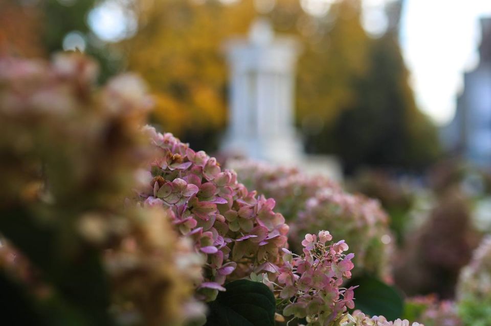 Уютные дни осени в "Орлёнке"