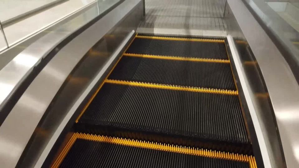 В Воронеже участники федерального форума «Сообщество» оценили, как работает транспортная система города