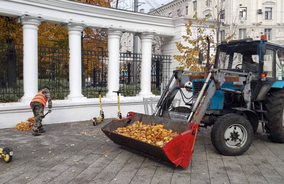 В Центральном районе прошел очередной санитарный день