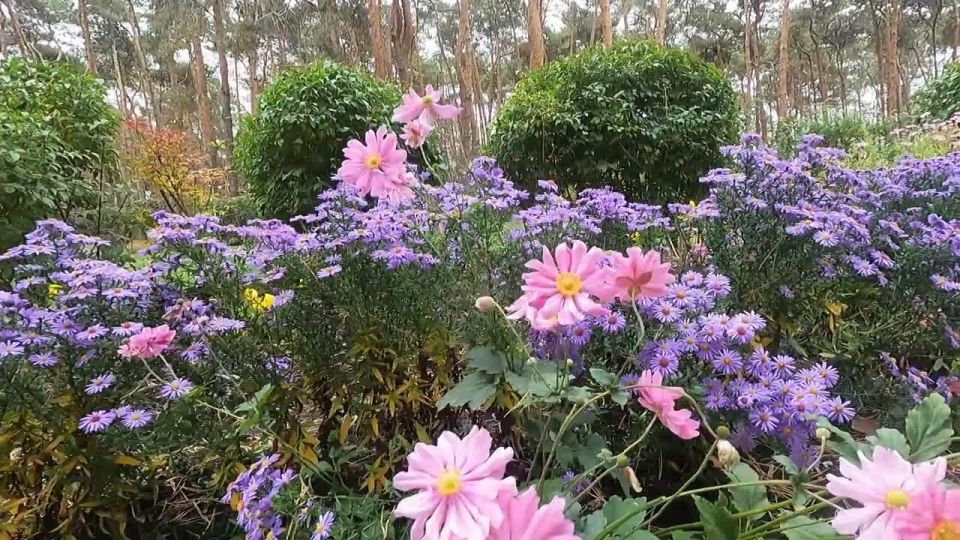 Сергей Петрин: Сегодня очередной субботник, поработали с временно исполняющим обязанности Губернатора Сергеем Трухачевым и коллегами в парке «Алые паруса», а вообще уборка и озеленение идут по всему городу