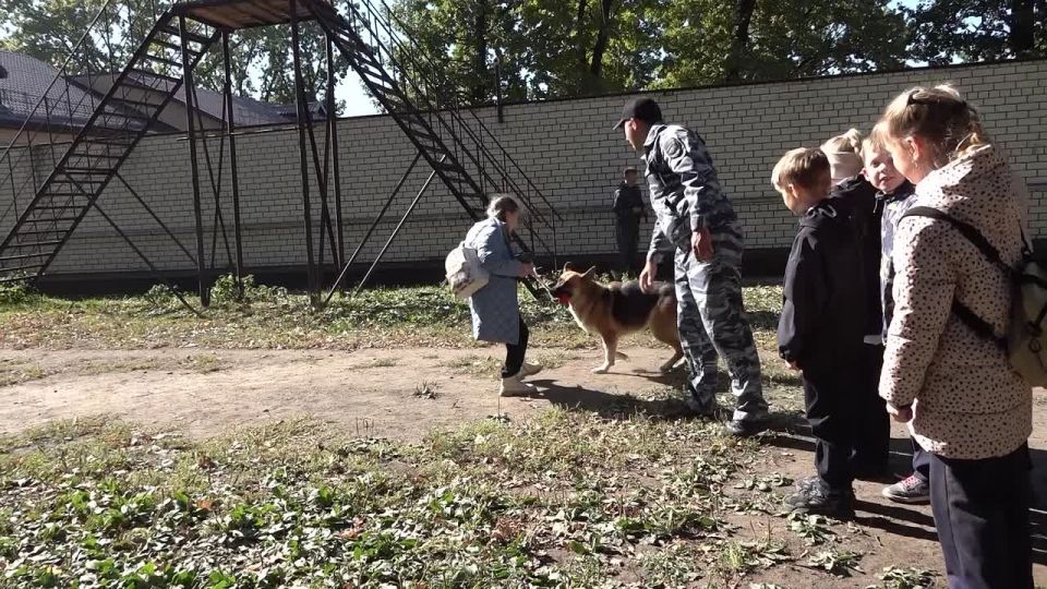 20 октября в 18:45 на канале «ТV-Губерния» в эфир выйдет очередная программа ГУ МВД России по Воронежской области «Полицейский вестник»