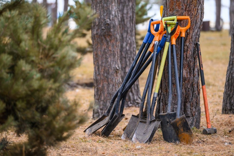 Итоги осеннего общеобластного субботника в Воронежской области