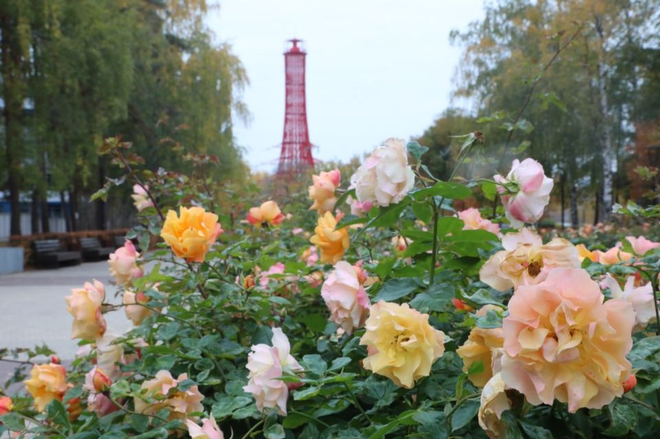 Цветущий парк «Алые паруса» осенью