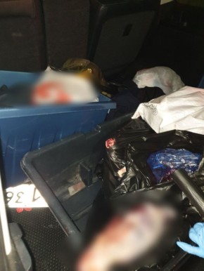 Двое охотников незаконно убили кабана в Аннинском районе