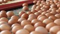 «Третьяковская» удвоит производство за 2 млрд рублей