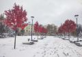 Больше никаких Момидзи: Воронеж снова сделал шаг не туда
