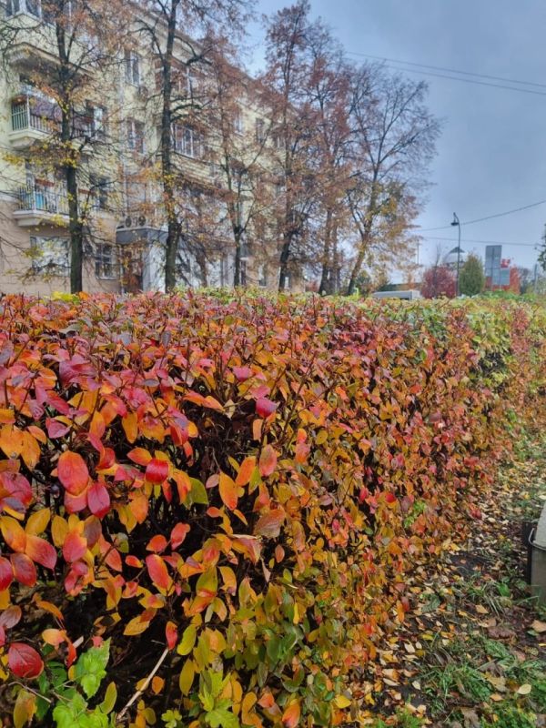 Продолжаем рассказывать об уходных работах в парках и скверах