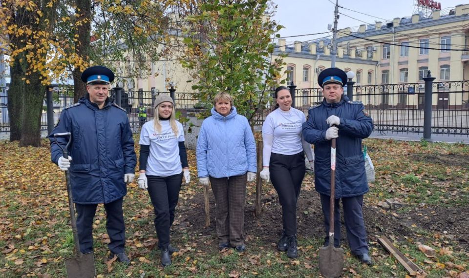 В сквере Путешественников высадили молодые деревья