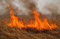 Почти 500 жителей Воронежской области оштрафовали за поджог травы