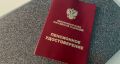 Когда ждать пенсии в ноябре 2025: подробности, график и советы для пенсионеров