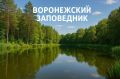 Воронежский заповедник бьёт рекорды посещаемости