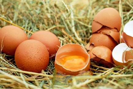Где применить отварные яйца: рецепты на случай, если продукта осталось много