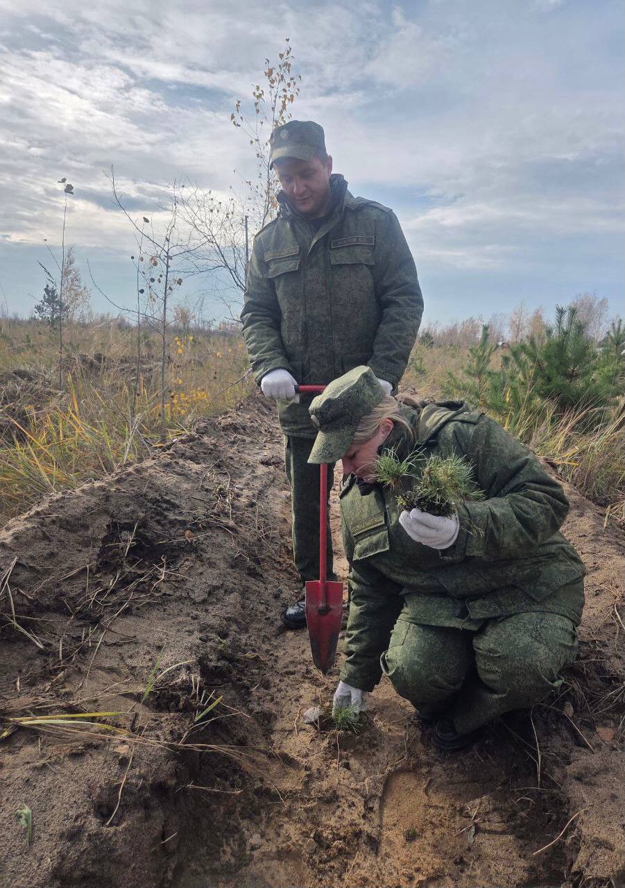 Сотрудники регионального следственного управления СК России приняли участие в международной акции «Сад памяти» Сотрудники регионального следственного управления СК России приняли участие в международной акции «Сад памяти»