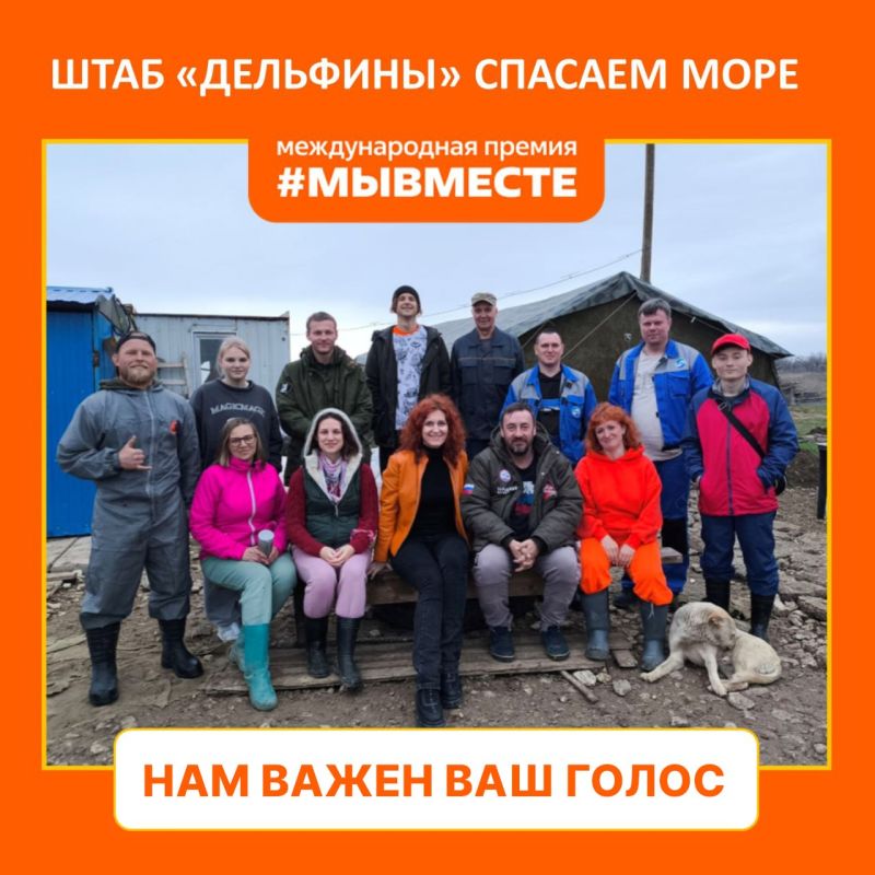 Александр Гусев: Стартовало народное голосование за финалистов Международной Премии #МЫВМЕСТЕ – поддержим воронежского участника