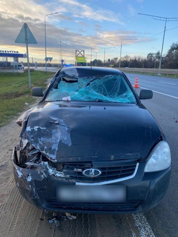 В Воронежской области за сутки зарегистрировано 100 ДТП