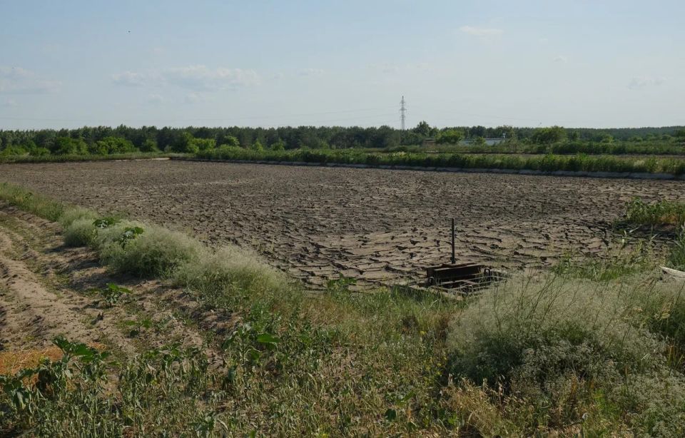В Воронежской области усилят систему федерального и муниципального земельного контроля
