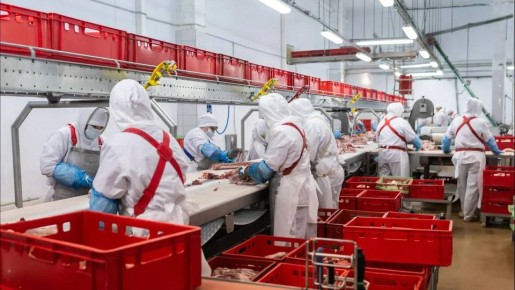 В Воронежской области хотят построить русско-китайский завод по переработке отходов