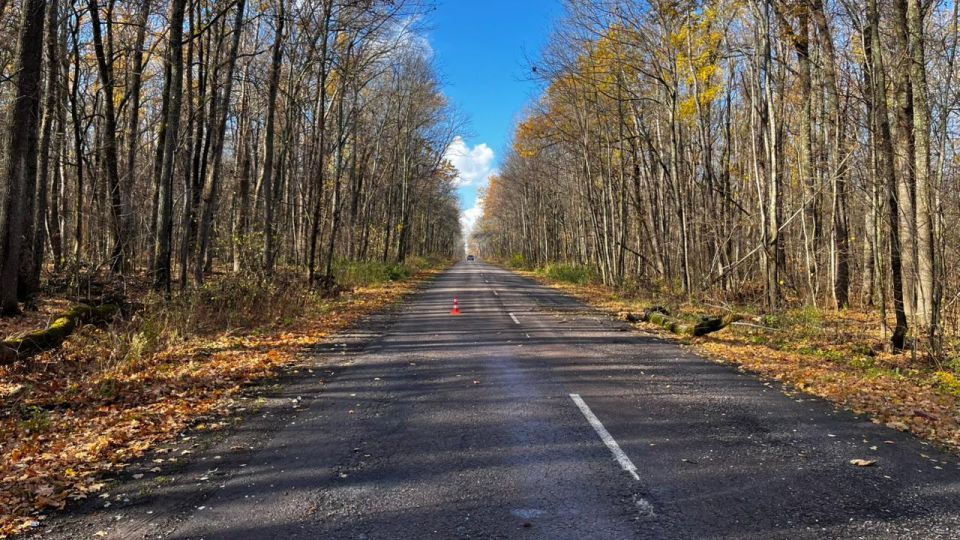 В Павловском районе госавтоинспекторы устанавливают обстоятельства наезда транспортного средства на препятствие