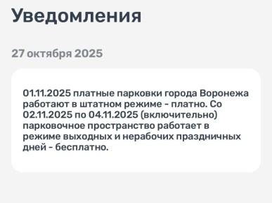 Воронежцам рассказали, как будет работать платная парковка в начале ноября