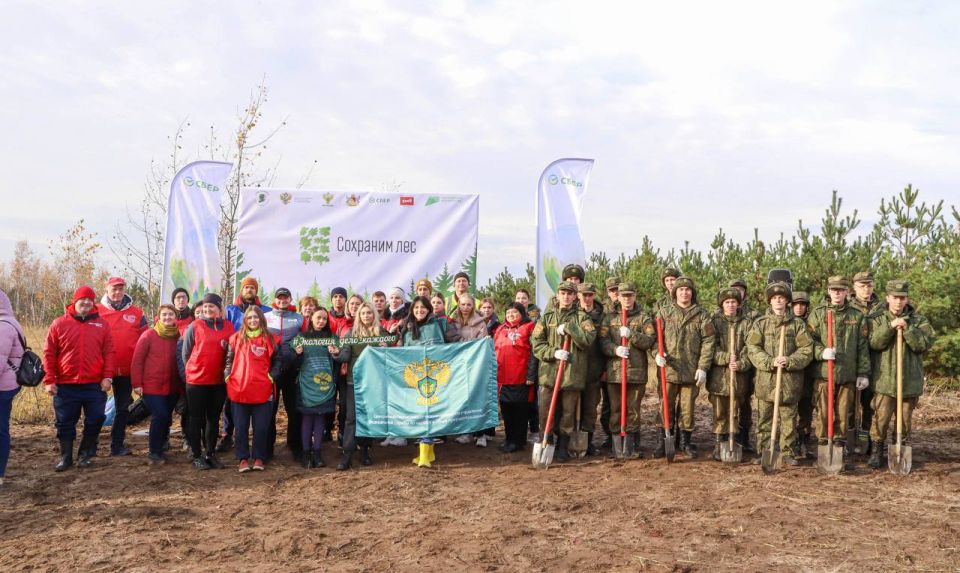 В Воронежской области сотрудники Центрально-Черноземного управления Росприроднадзора приняли участие во Всероссийской акции «Сохраним лес»