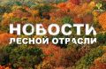 TV Губерния: Почти 70 тысяч саженцев лесных культур высадят осенью в Воронежской области