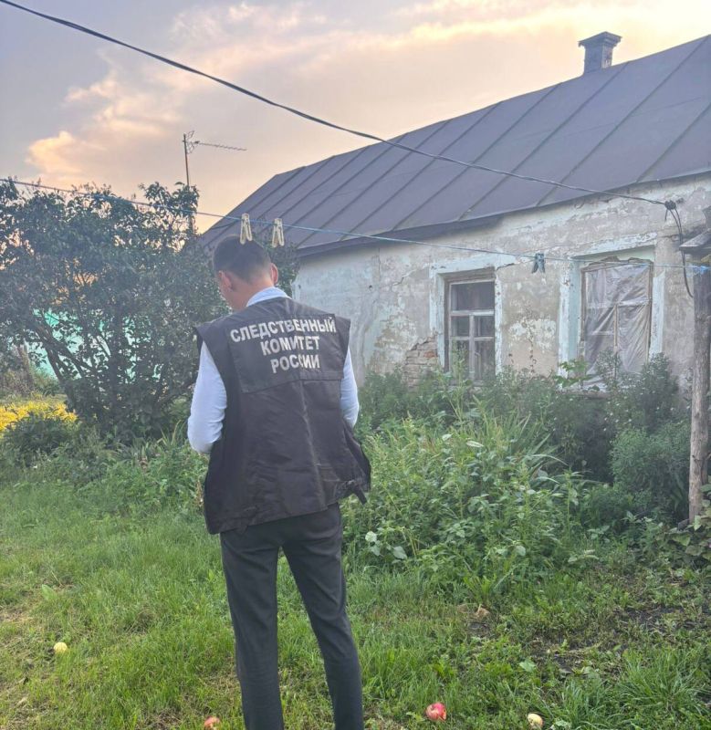 Жительница Панинского района предстала перед судом за убийство сожителя