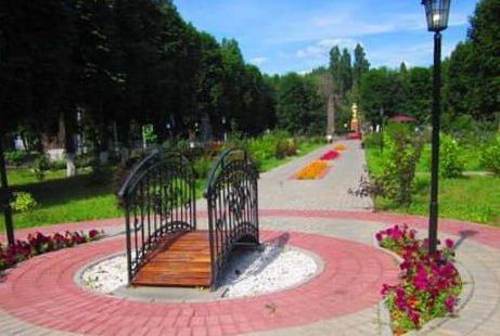 В Репьевском районе активно развиваются ТОС