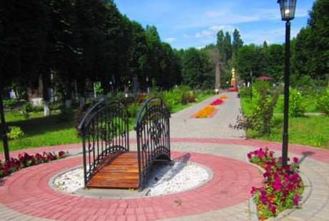 В Репьевском районе активно развиваются ТОС
