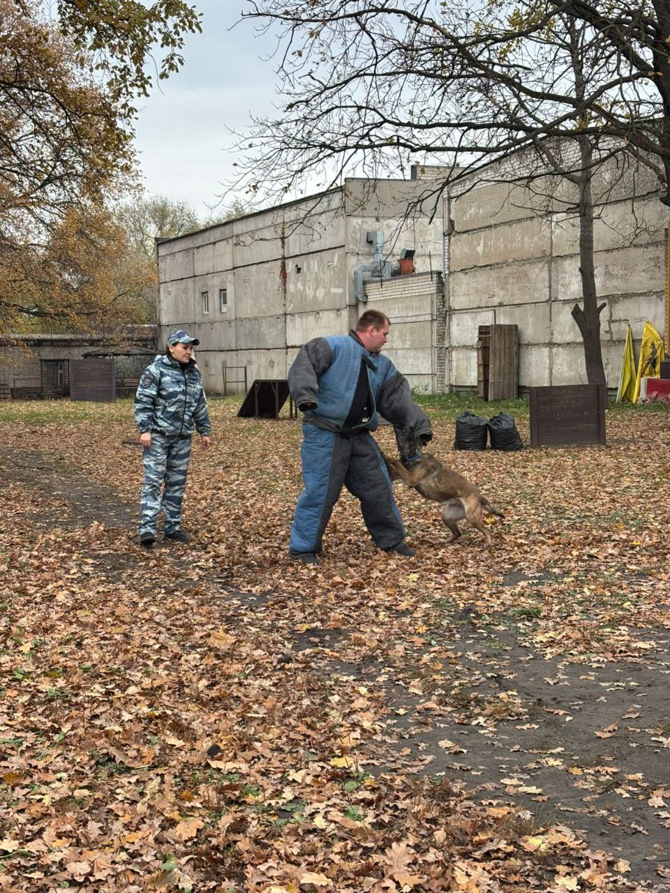 Воронежские школьники побывали в Центре кинологической службы МВД Воронежские школьники побывали в Центре кинологической службы МВД