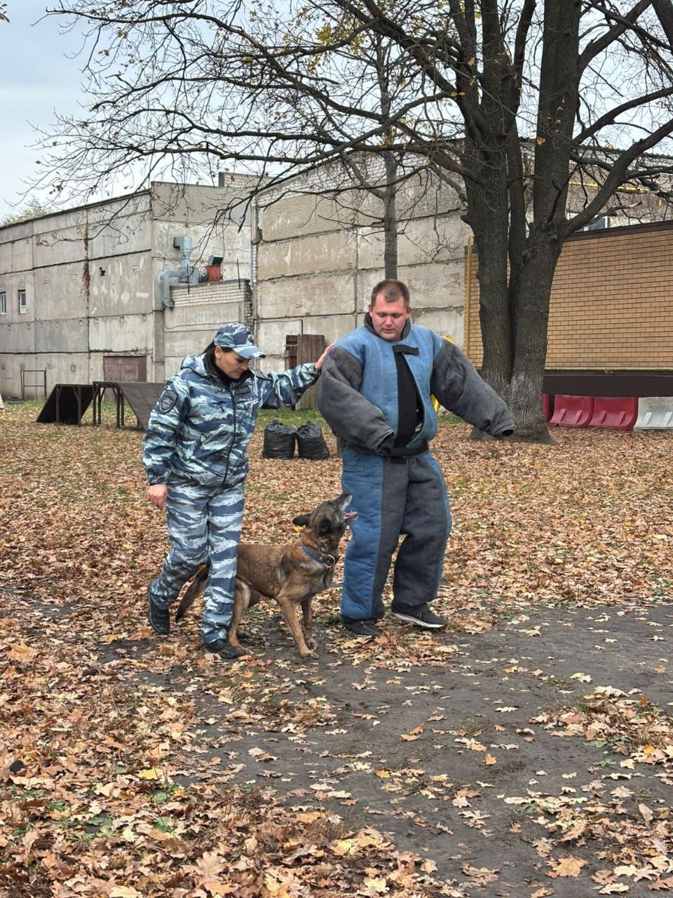 Воронежские школьники побывали в Центре кинологической службы МВД