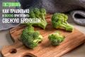 Брокколи: секреты правильного приготовления и сохранения полезных веществ