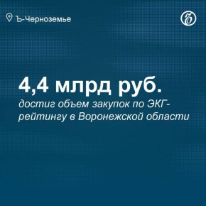 За январь-октябрь 2025 года в Воронежской области объявлено свыше 700 конкурсов с применением ЭКГ-рейтинга на общую сумму 4,4 млрд руб