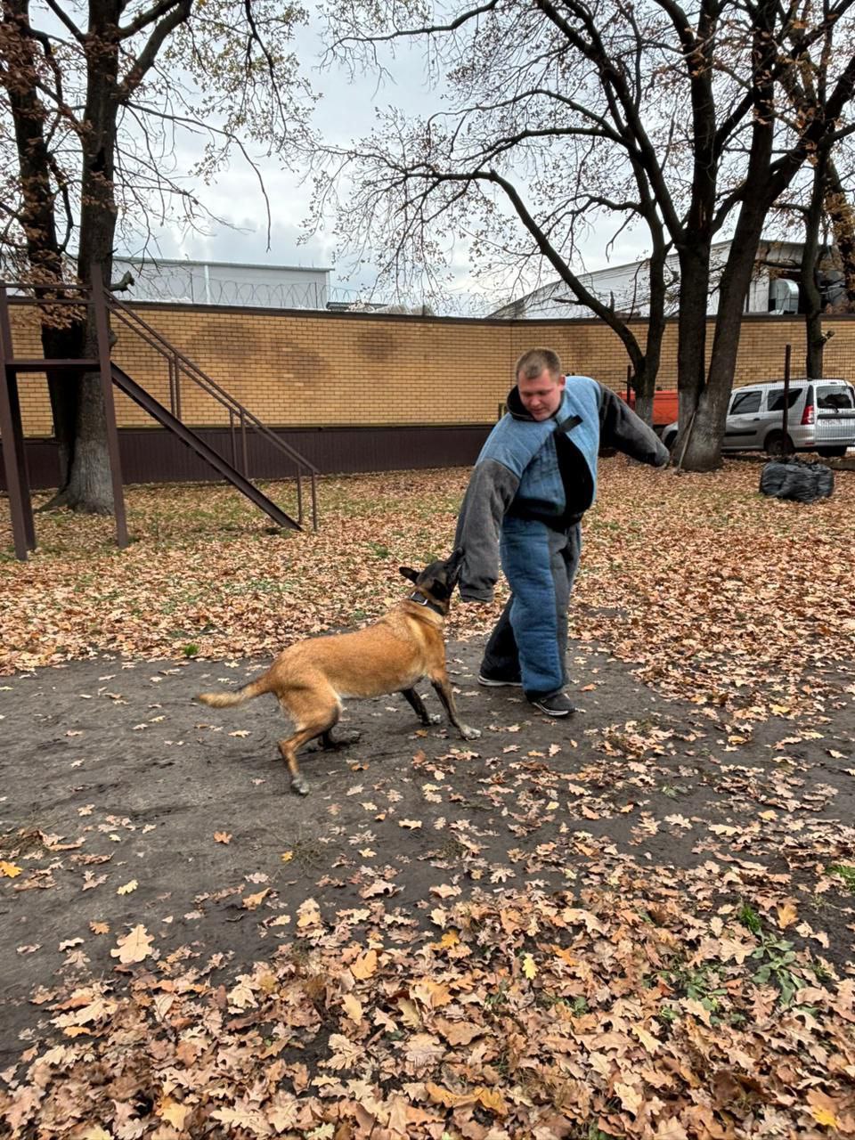 Воронежские школьники побывали в Центре кинологической службы МВД Воронежские школьники побывали в Центре кинологической службы МВД