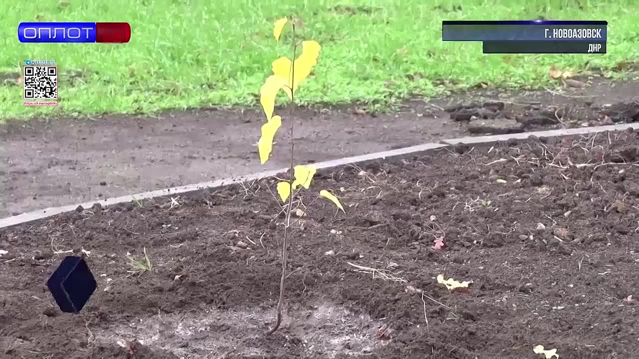 Сады будущего в Новоазовске