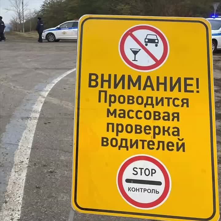 Госавтоинспекция Воронежской области подвела итоги профилактического мероприятия «Нетрезвый водитель», проходившего с 23 по 26 октября